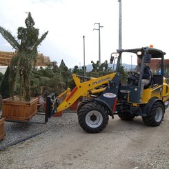 Chargeuse articulée Mustang AL506 - 3